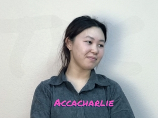 Accacharlie