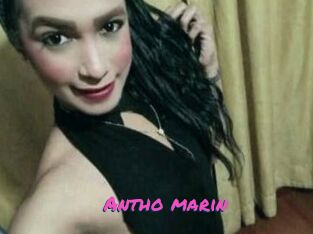 Antho_marin