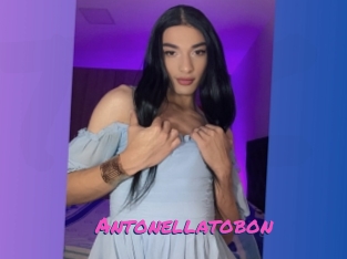 Antonellatobon