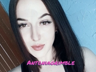 Antoniagrimble