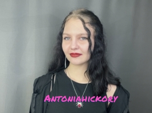 Antoniahickory