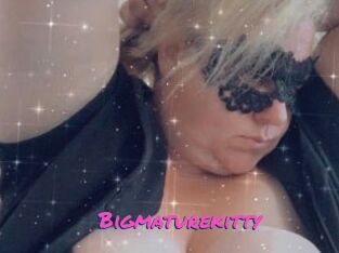 Bigmaturekitty