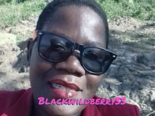 Blackwildberry33