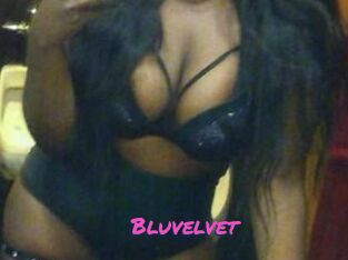 Bluvelvet