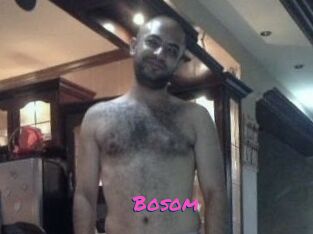 Bosom