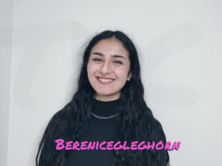 Berenicegleghorn