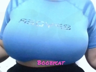 Boobycat