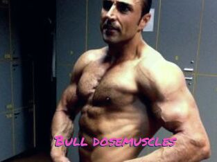 Bull_dosemuscles