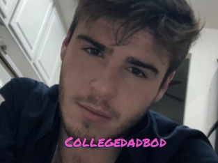 Collegedadbod