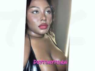 Destinytorn