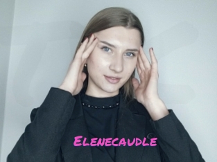 Elenecaudle