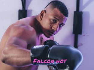 Falcon_hot