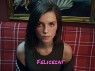 Felicecat