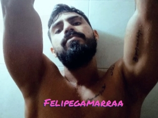 Felipegamarraa