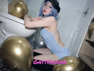 Gatitachan