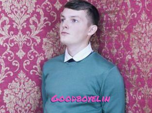 Goodboyelin