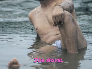 Joe_Novel