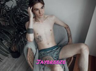 Jaybreeze