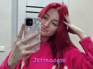 Jettagorse