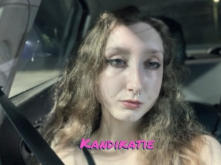 Kandikatie