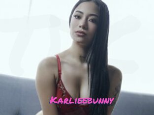 Karlieebunny