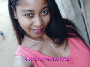 Laylahmorgane