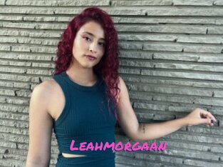 Leahmorgaan