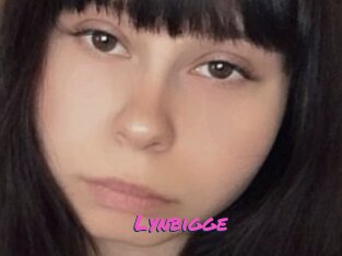 Lynbigge