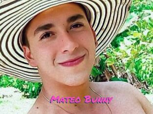 Mateo_Bunny