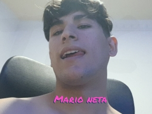 Mario_neta