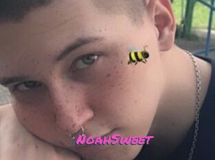 NoahSweet