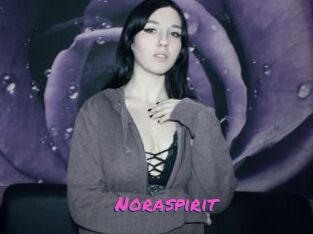 Noraspirit