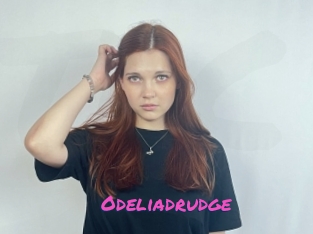 Odeliadrudge