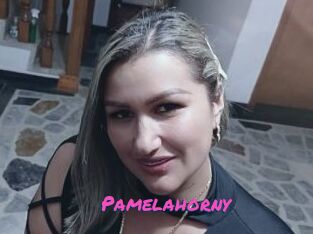 Pamelahorny