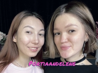 Portiaandelene