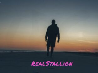 RealStallion