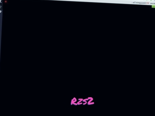 Rzs2