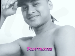 Scottrosee