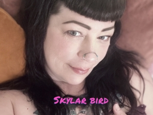 Skylar_bird