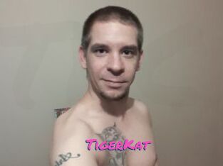 TigerKat