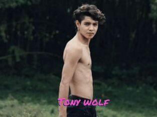 Tony_wolf