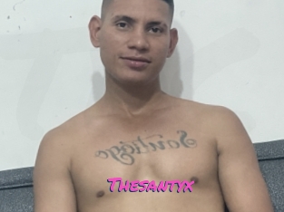 Thesantyx