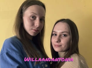 Willaandantonia