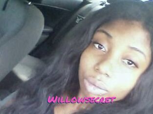 Willow_secret