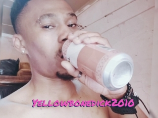 Yellowbonedick2010